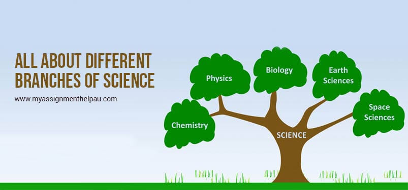 All About Different Branches Of Science