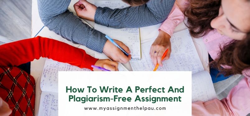 How to Write a Perfect and Plagiarism-Free Assignment