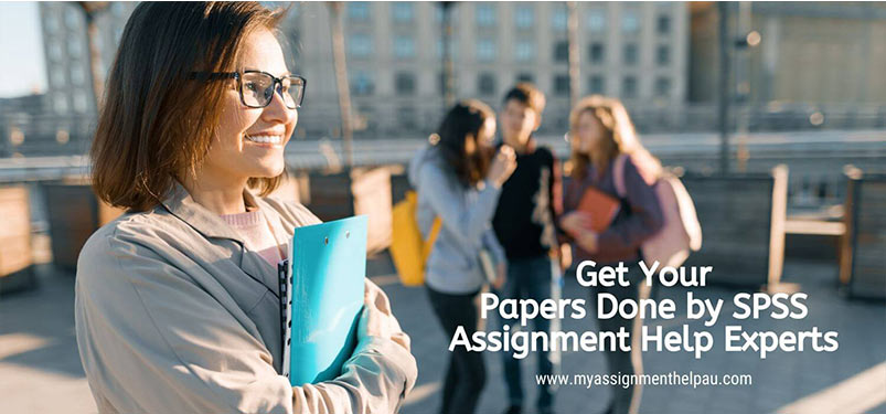 Get Your Papers Done by SPSS Assignment Help experts