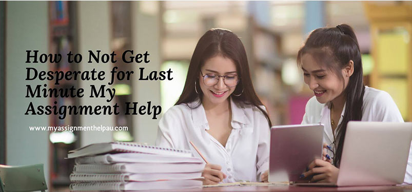 How to Not Get Desperate for Last Minute My Assignment Help