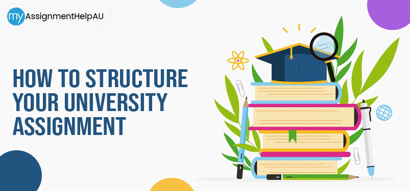 structure of university assignment