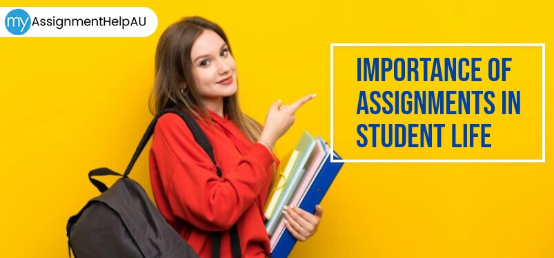 Importance Of Assignments In Student Life