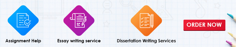 Dissertation Writing service in USA