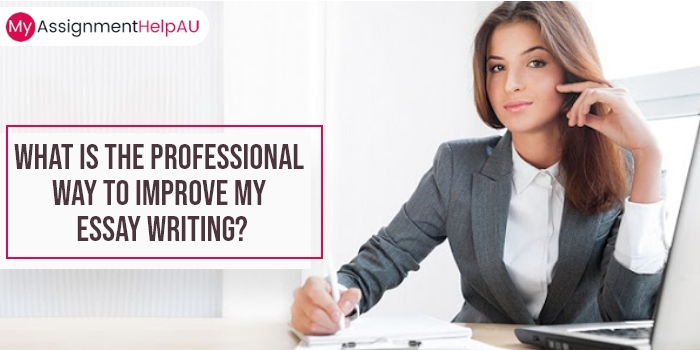 What is the Professional Way to Improve My Essay Writing?