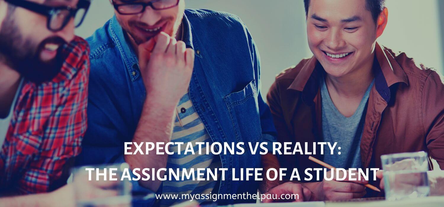 Expectations vs Reality: The Assignment Life of a student