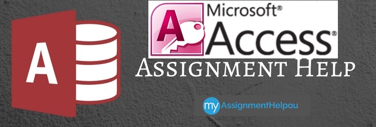 Access homework assignment help